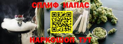 спиды Аша