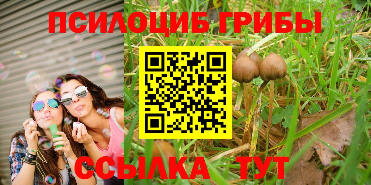 Псилоцибиновые грибы мухоморы Рузаевка