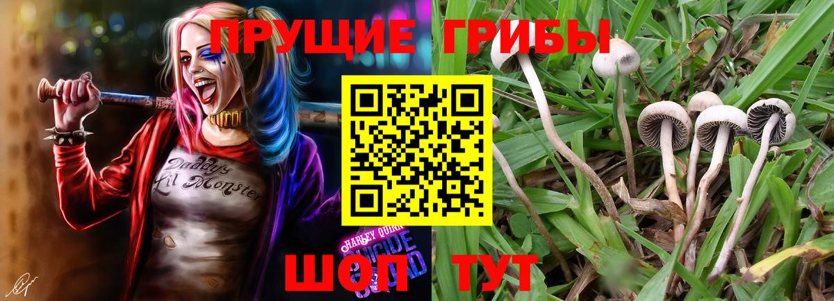 Псилоцибиновые грибы Cubensis  Псилоцибиновые грибы ЛСД  Вход с VPN  Рузаевка 